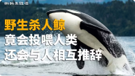 闪电