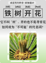 邋遢大王